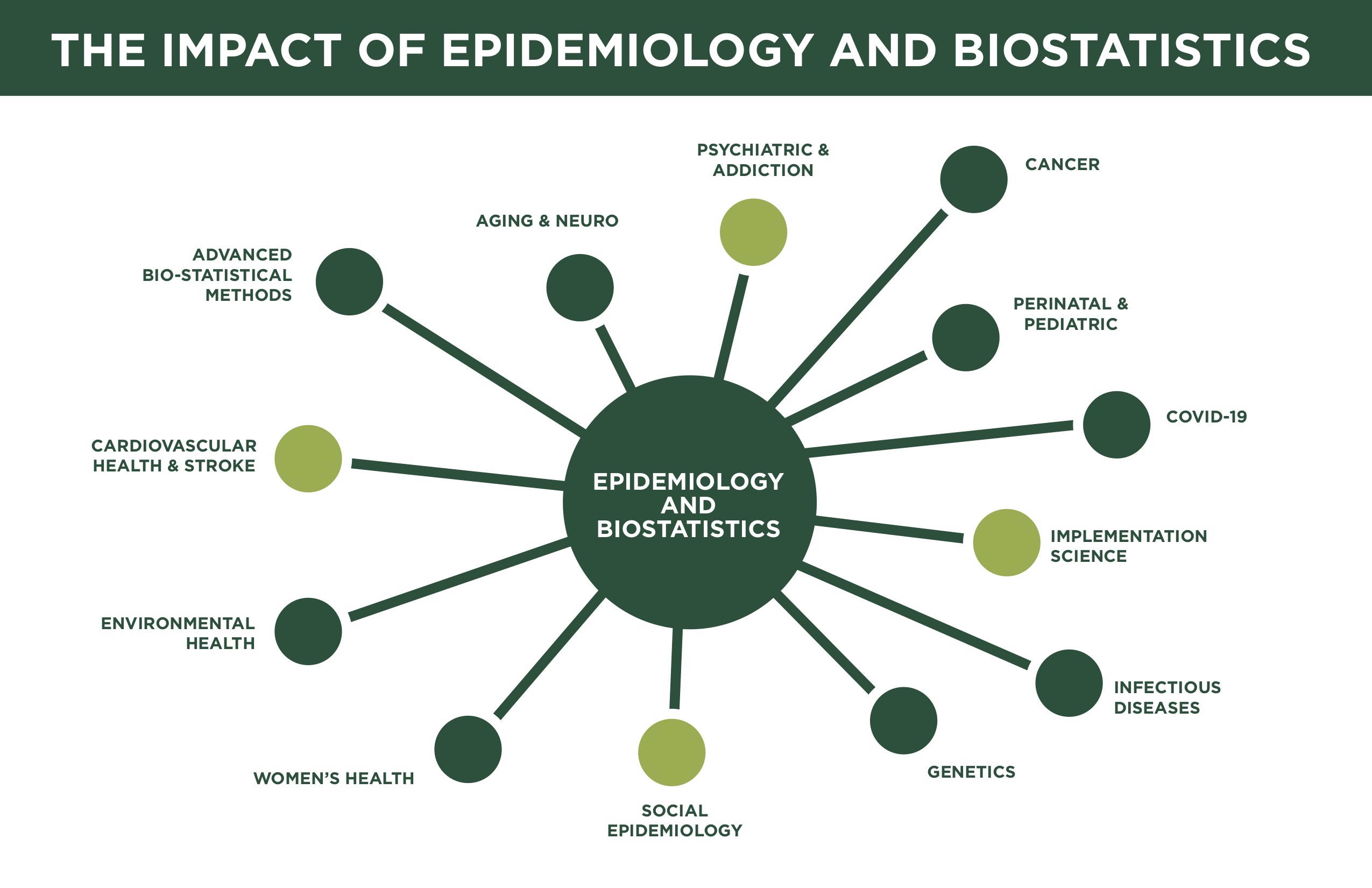 The impace of Public Health on Epidemiology and Biostatistics