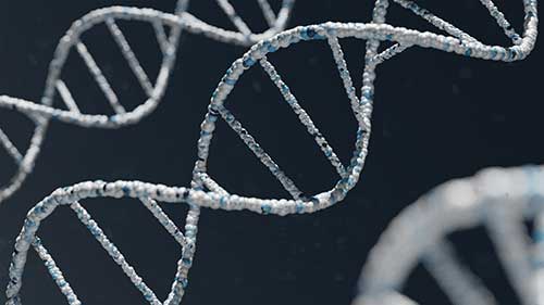 Genetics